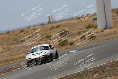 media/May-03-2025-Lucky Dog Racing (Sat) [[206de64b9d]]/Turn 6 (150pm-230pm)/